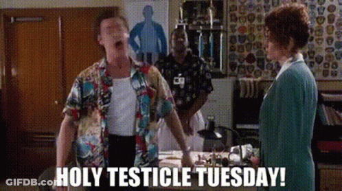 Holy Cow Tuesday GIF