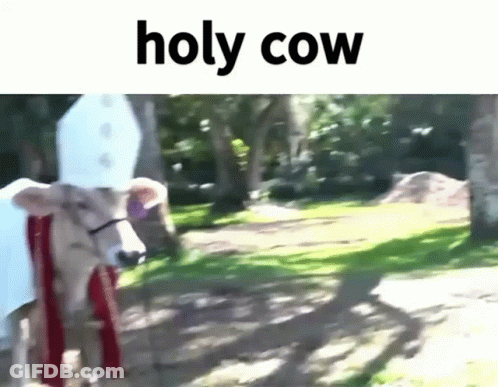 Holy Cow Walking Down Park Path GIF