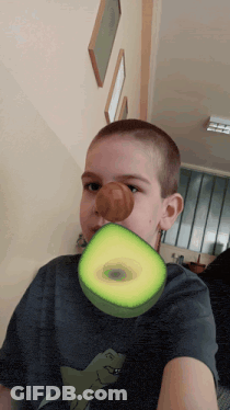 Holy Guacamole Guacamole GIF