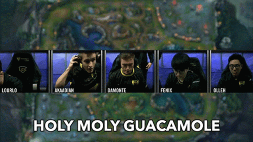 Holy Moly Guacamole Gamers Meme GIF