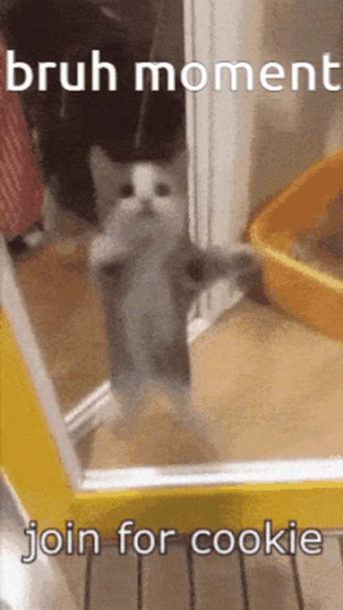 Holy Moly Meme Bruh Moment GIF