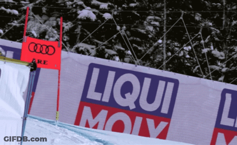Holy Moly Meme Ice Slide GIF