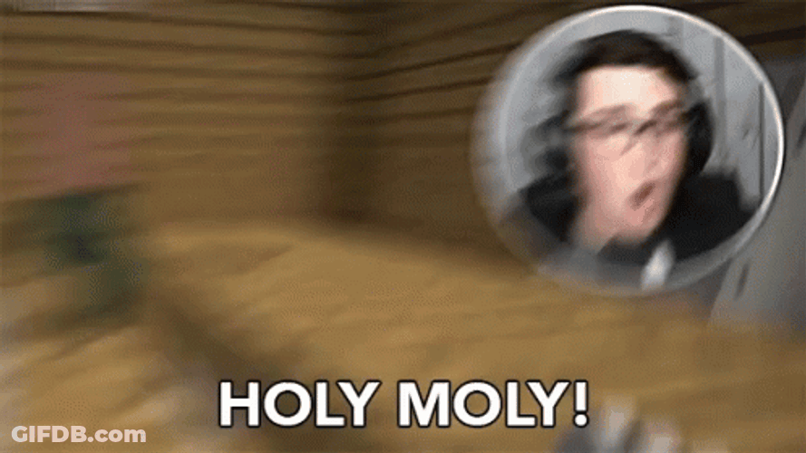 Holy Moly Minecraft Stream GIF