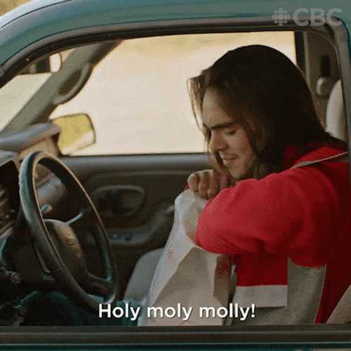 Holy Moly Molly Man In Car Meme GIF