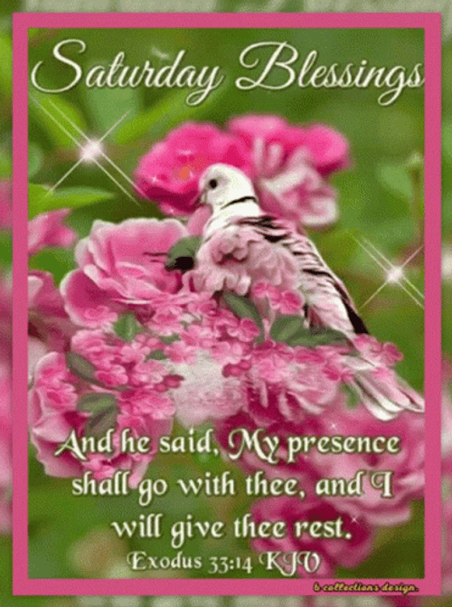 Holy Saturday Blessings Nature Theme GIF