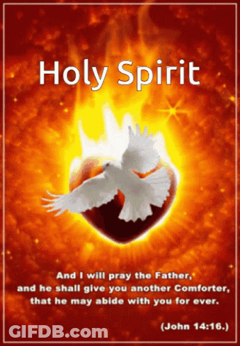 Holy Spirit Poster With Dove And Burning Heart GIF