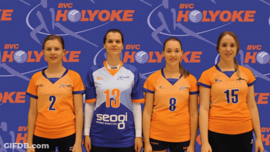 Holyoke Volleyball Teamwork Meme GIF