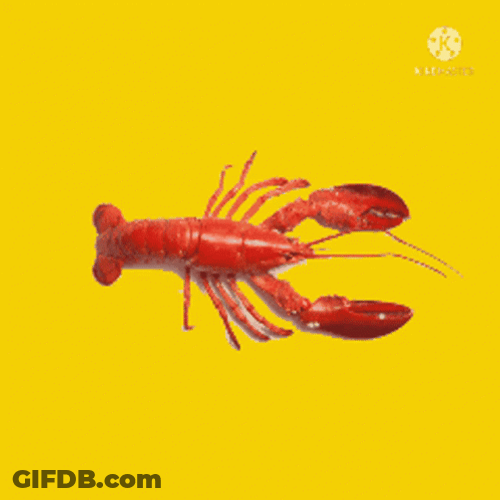 Homarus Lobster Spinning Fast GIF