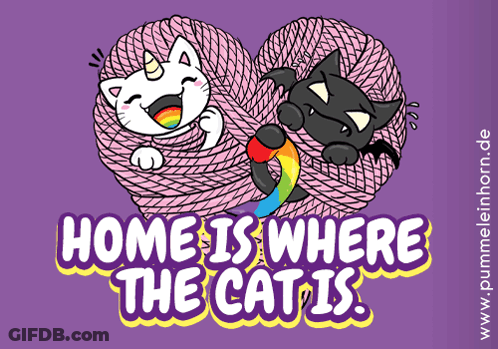 Home Is Where Cat, Unicorn, And Bat GIF