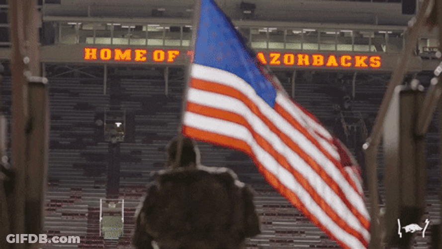Home Of The American Razorbacks GIF