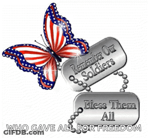 Home Of The Free Because Of The Brave GIF