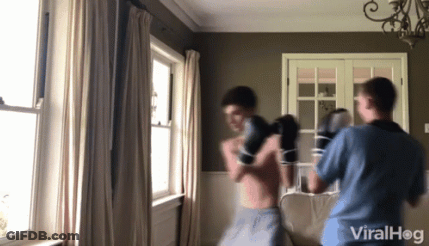 Home Sparring Knockout Fail GIF