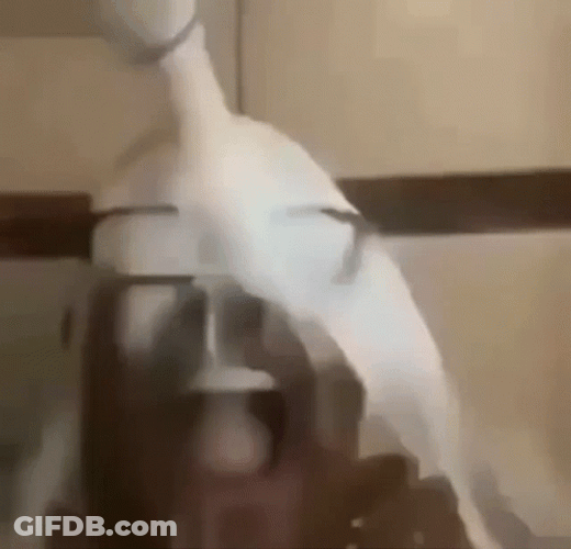 Homelander Milk Bathing In Fresh Milk GIF