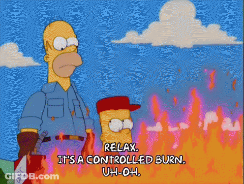 Homer And Bart Simpson Before Burning Field GIF