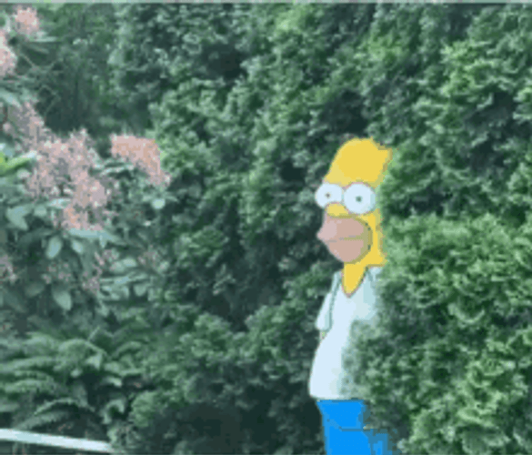 Homer Bush Plant Hiding GIF