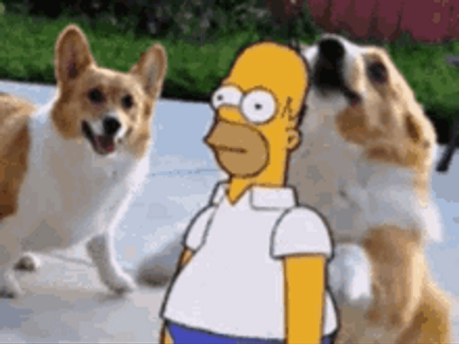 Homer Bush Simpson Hides With A Dog GIF