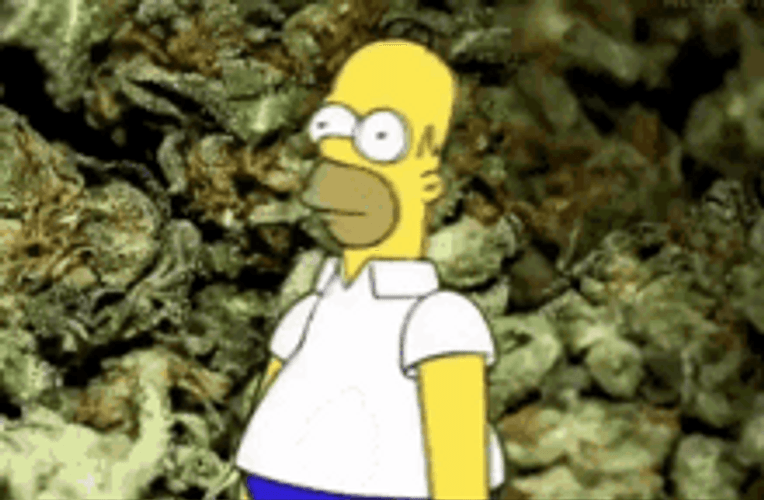 Homer Bush Simpson Hiding On The Rocks GIF