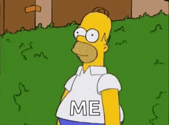 Homer Bush Simpson Me GIF