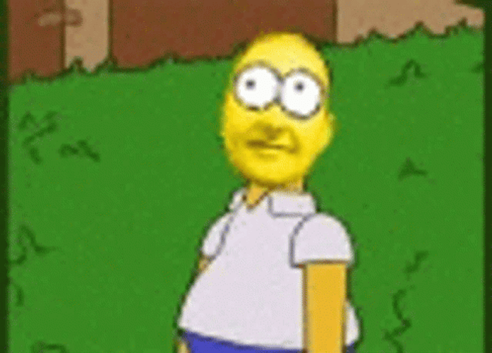Homer Bush Simpson Meme Look GIF