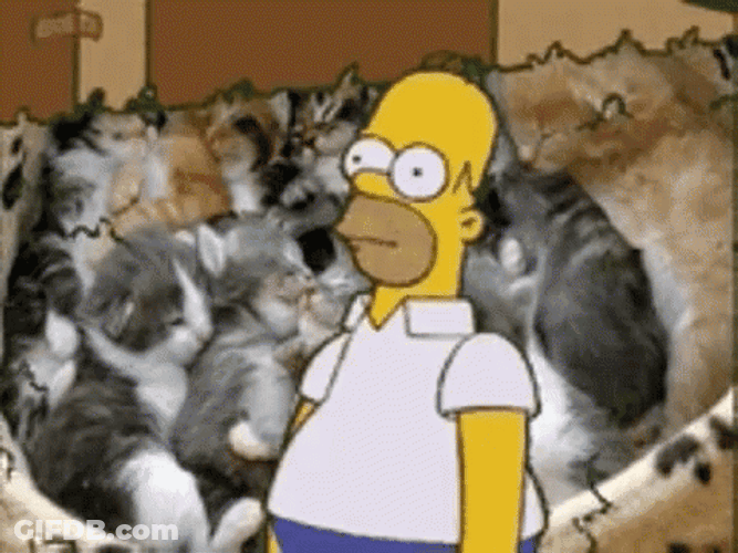 Homer Disappearing Kittens GIF