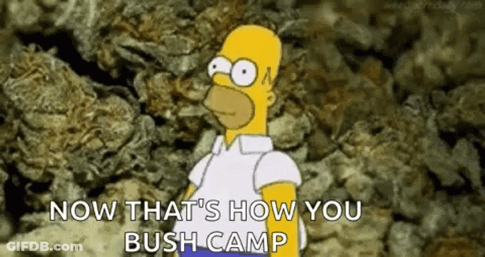 Homer Disappearing Now Thats How GIF