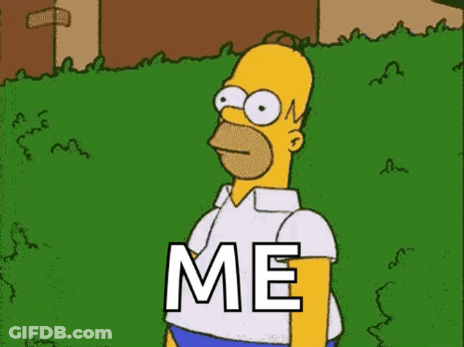Homer Hiding And Me GIF