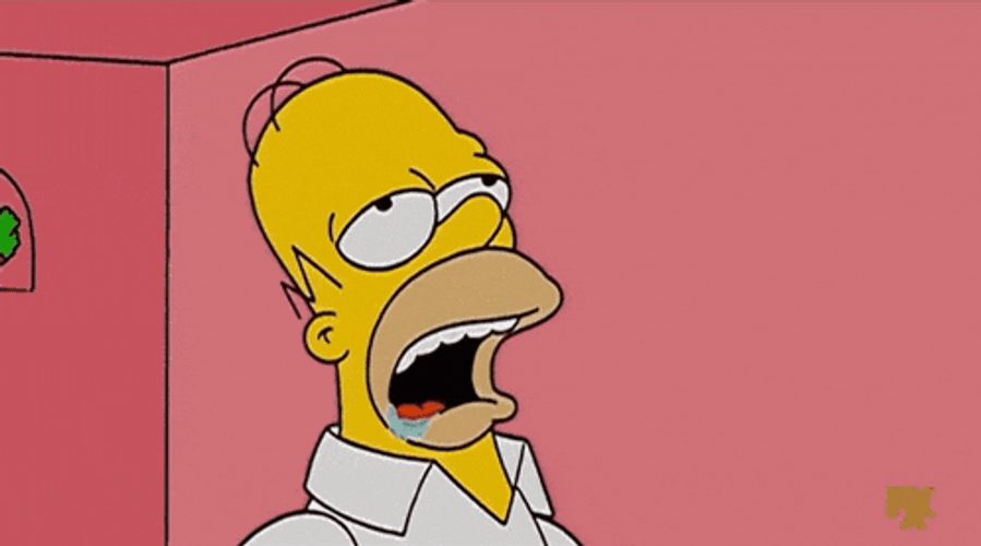 Homer Homer Simpson GIF