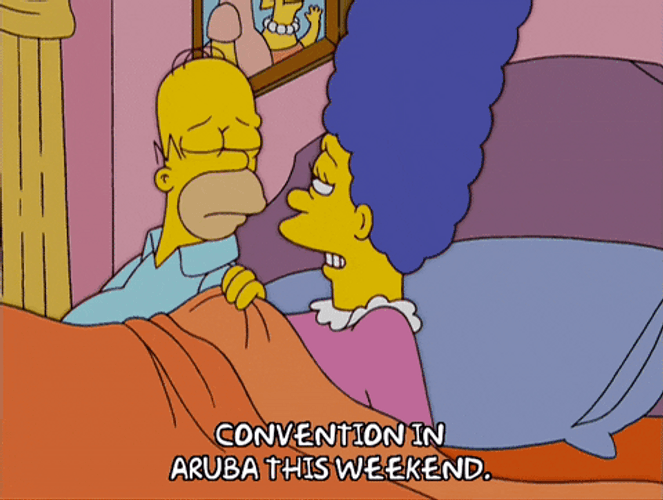 Homer Marge Simpsons Aruba GIF