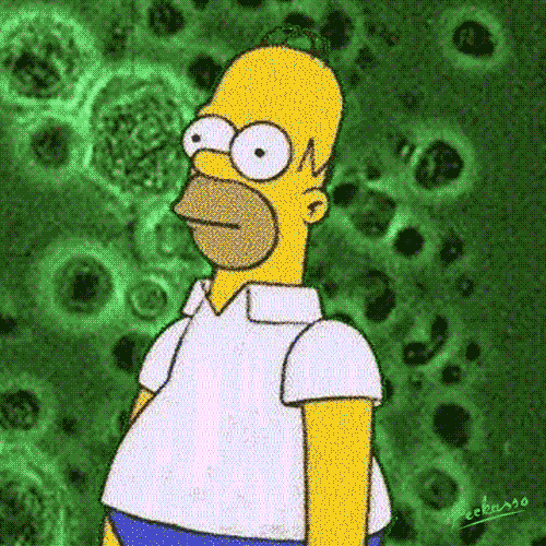 Homer Simpson Backing Out Bushes Virus Meme GIF