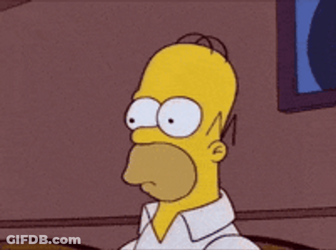 Homer Simpson Blank Stare GIF