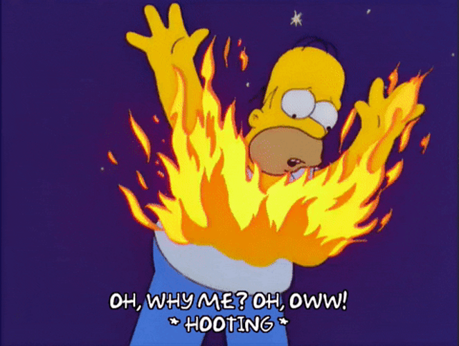 Homer Simpson Burning In Fire GIF
