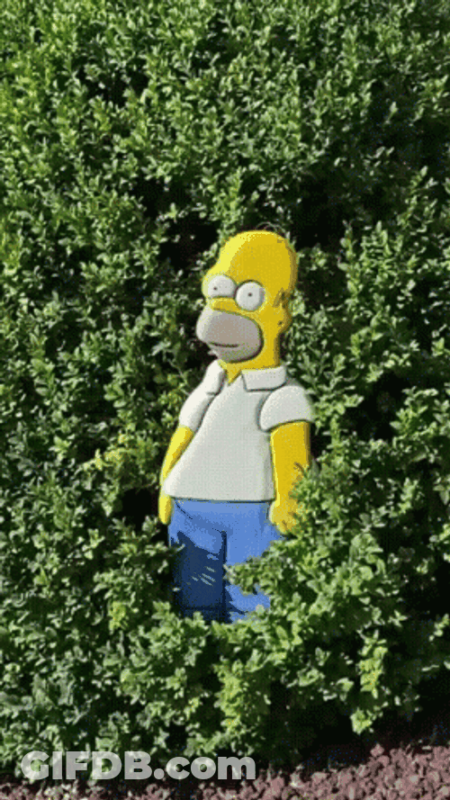 Homer Simpson Bush GIF