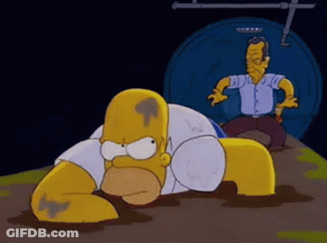Homer Simpson Bush GIF