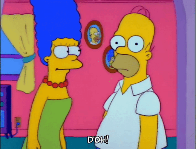 Homer Simpson Doh In Front Of Marge Simpson GIF