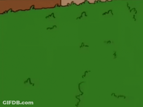 Homer Simpson From The Simpsons Is Holding A Frisbee In His Hand In The Grass . GIF