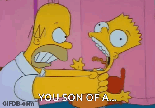 Homer Simpson Holding Bart Simpson Saying You Son Of A GIF