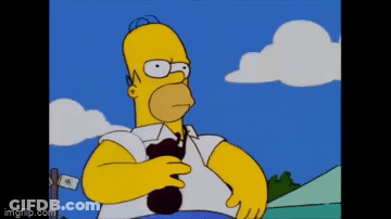 Homer Simpson Holding Black Object GIF