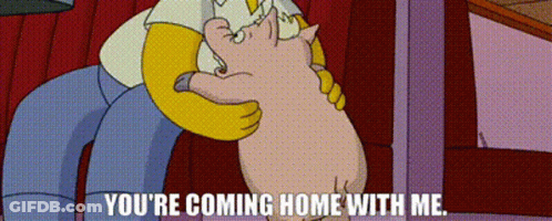 Homer Simpson Holding Pig Saying You're Coming Home With Me GIF