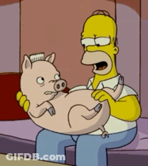 Homer Simpson Holding Pig With Toothbrush On Head GIF