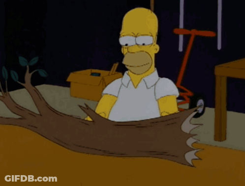 Homer Simpson Holding Tree Branch GIF