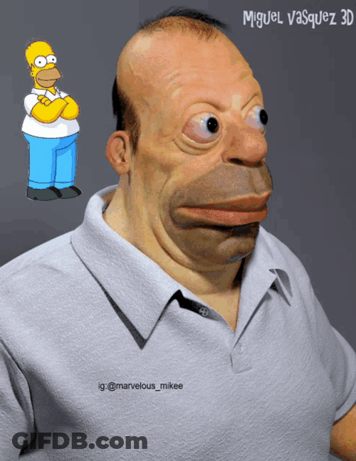 Homer Simpson Homer Meme GIF