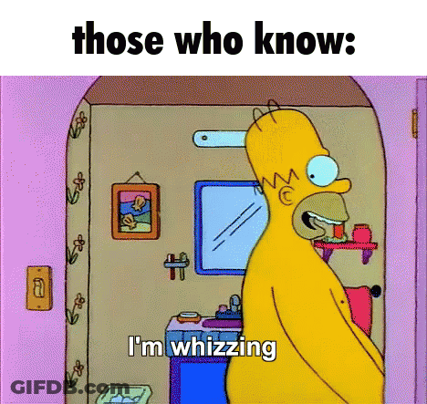 Homer Simpson In Bathroom Whizzing GIF