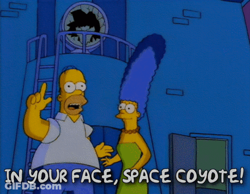 Homer Simpson In Your Face Space Coyote GIF
