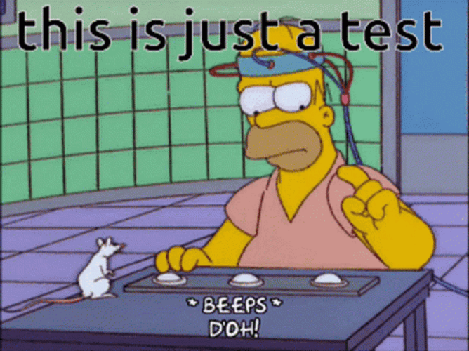 Homer Simpson Its Just A Test GIF