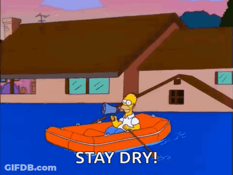 Homer Simpson On Orange Raft Holding Megaphone GIF