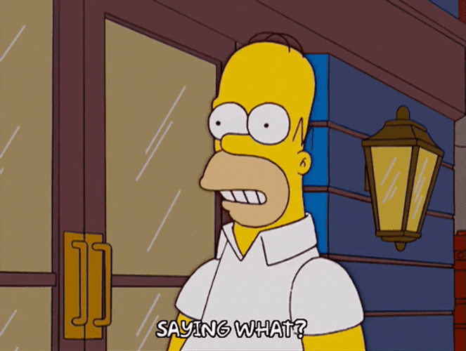 Homer Simpson Say What Go Outside GIF