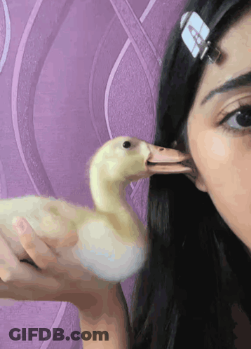 Homer Simpson Saying Love You Long Time GIF