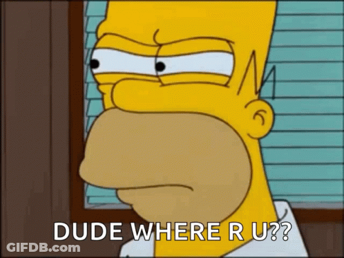 Homer Simpson Says Dude Where R U GIF