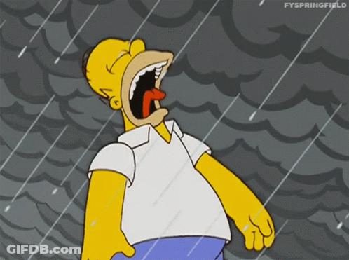 Homer Simpson Screaming In Rain GIF