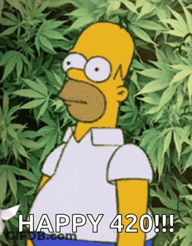 Homer Simpson Standing With Marijuana Leaves Happy 420 GIF